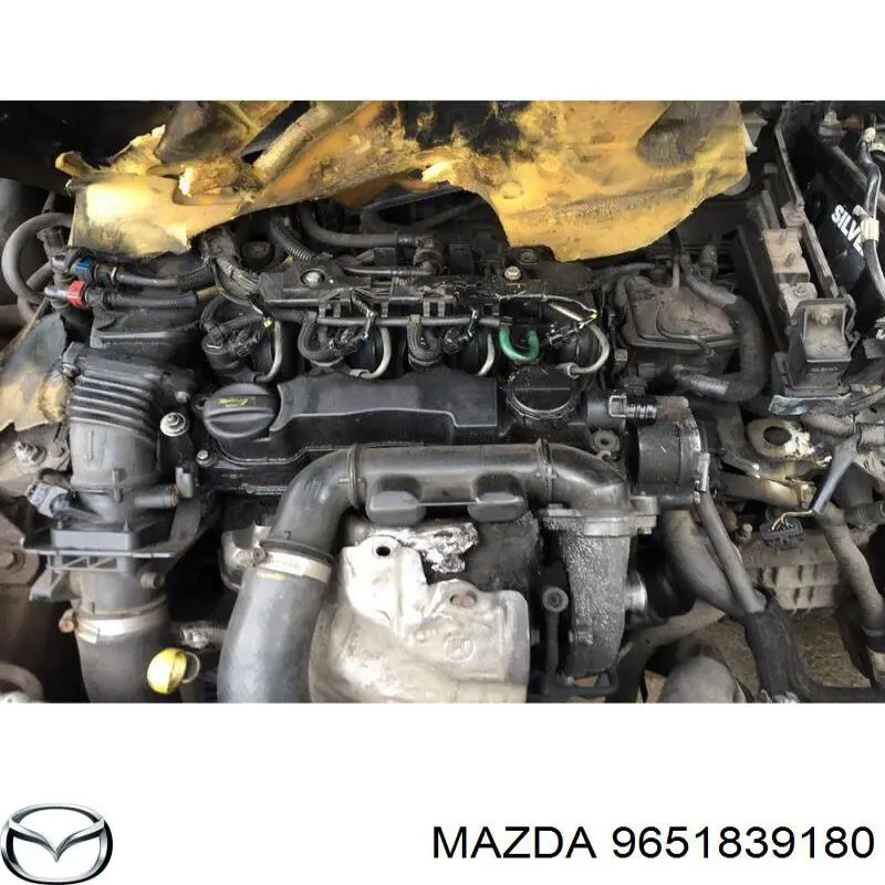  Ford 9651839180 precio, desde 49,37 EUR