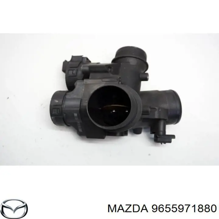 Comprar 9655971880 Peugeot/Citroen Cuerpo de mariposa