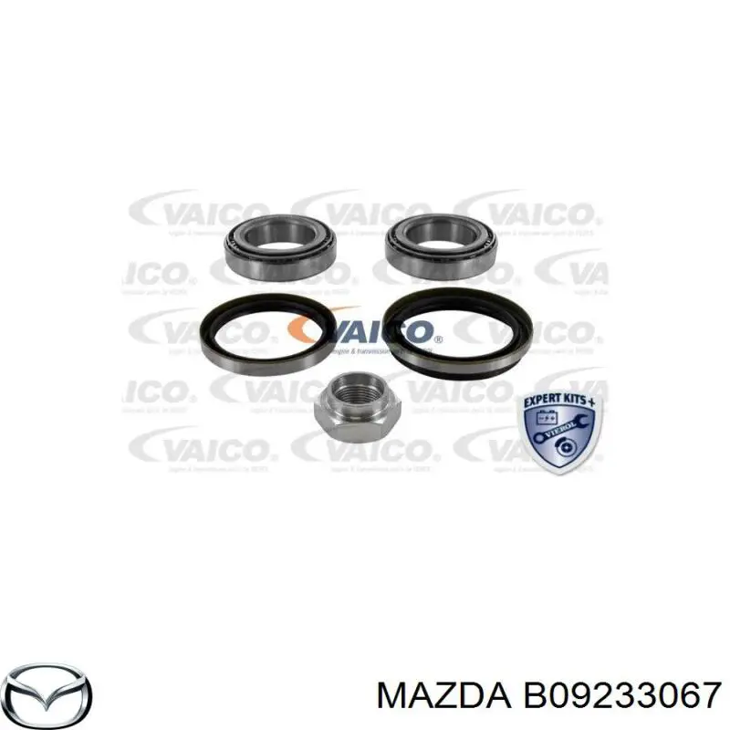 Retén exterior del cubo de rueda delantero Mazda B09233067 precio, desde 2,18 EUR