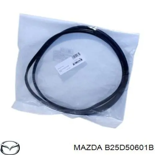 B25D50601B Mazda