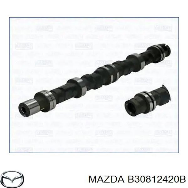 B30812420 Mazda Kit árbol de levas