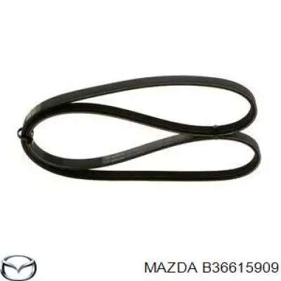 B36615909 Mazda correa trapezoidal
