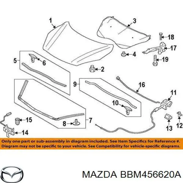 PMZ22055B Signeda