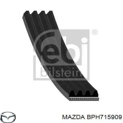 BPH715909 Mazda correa trapezoidal