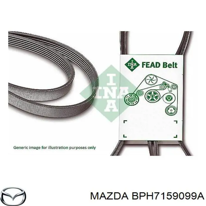 BPH7159099A Mazda correa trapezoidal
