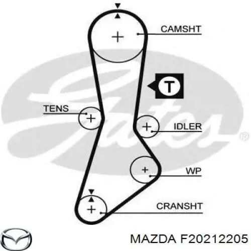 F20212205 Mazda correa distribucion