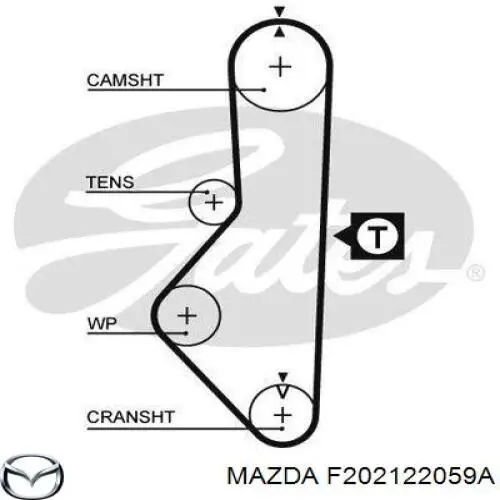Comprar F202122059A Mazda Correa distribución