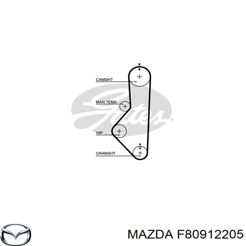 F80912205 Mazda correa distribución