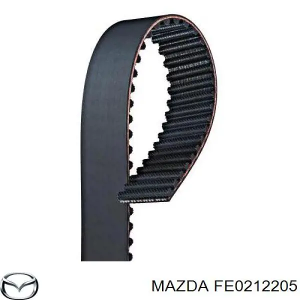 FE0212205 Mazda Correa dentada
