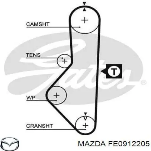 FE0912205 Mazda correa distribucion