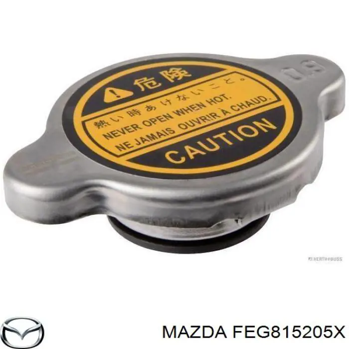 FEG815205X Mazda