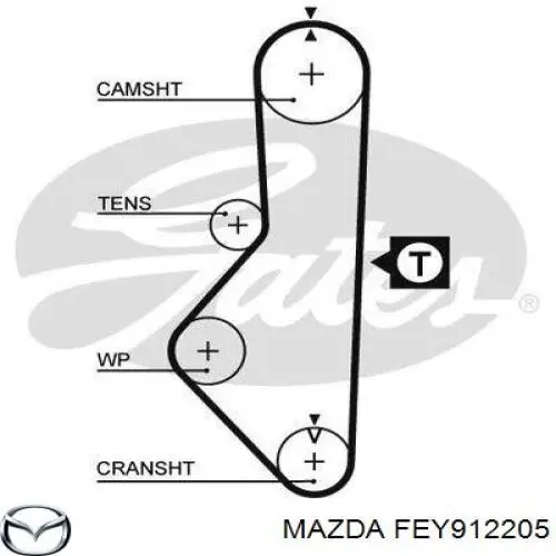 FE7912205 Mazda Correa dentada