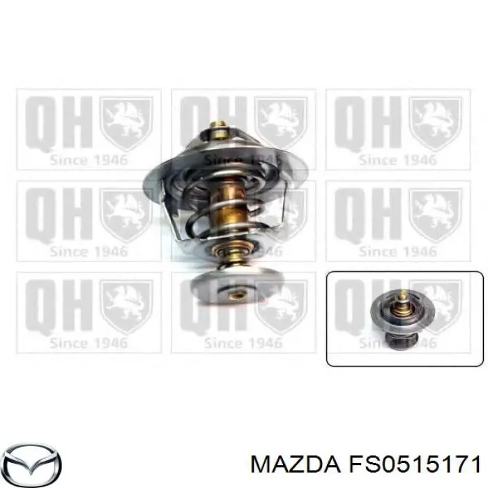 FS05-15-171 Mazda termostato