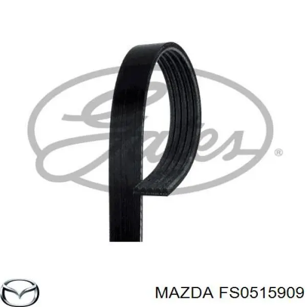 FS05-15-909 Mazda correa trapezoidal