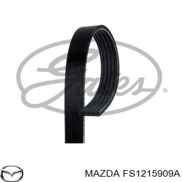 FS1215909A Mazda correa trapezoidal