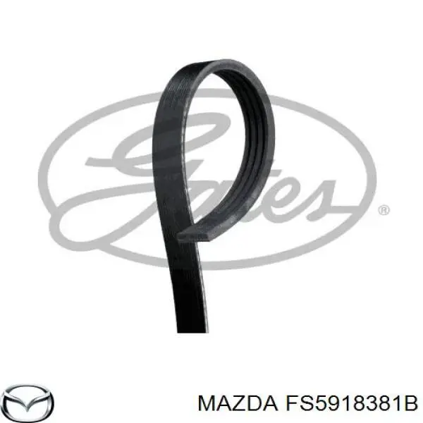 FS5918381B Mazda