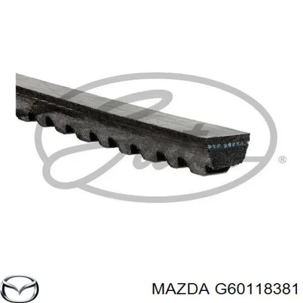 Correa de alternador G60118381 Mazda