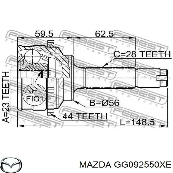 GG092550XE Mazda árbol de transmisión delantero derecho