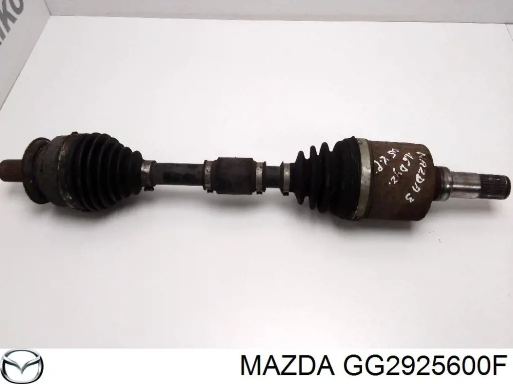 XXGG2925600F Market (OEM)