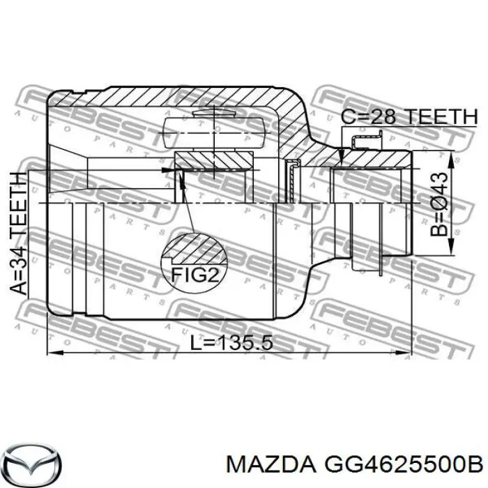 GG4625500B Mazda árbol de transmisión delantero derecho