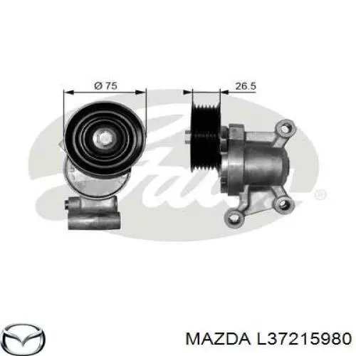 L37215980 Mazda tensor de correa, correa poli v