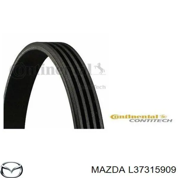L37315909 Mazda Correa poly v