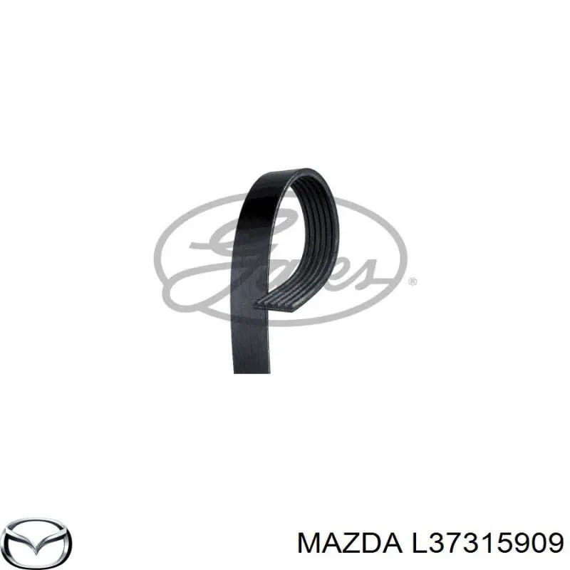 Correa de alternador L37315909 Mazda