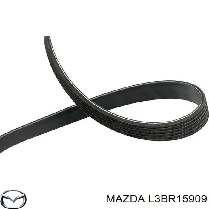 L3BR15909 Mazda Correa poly v