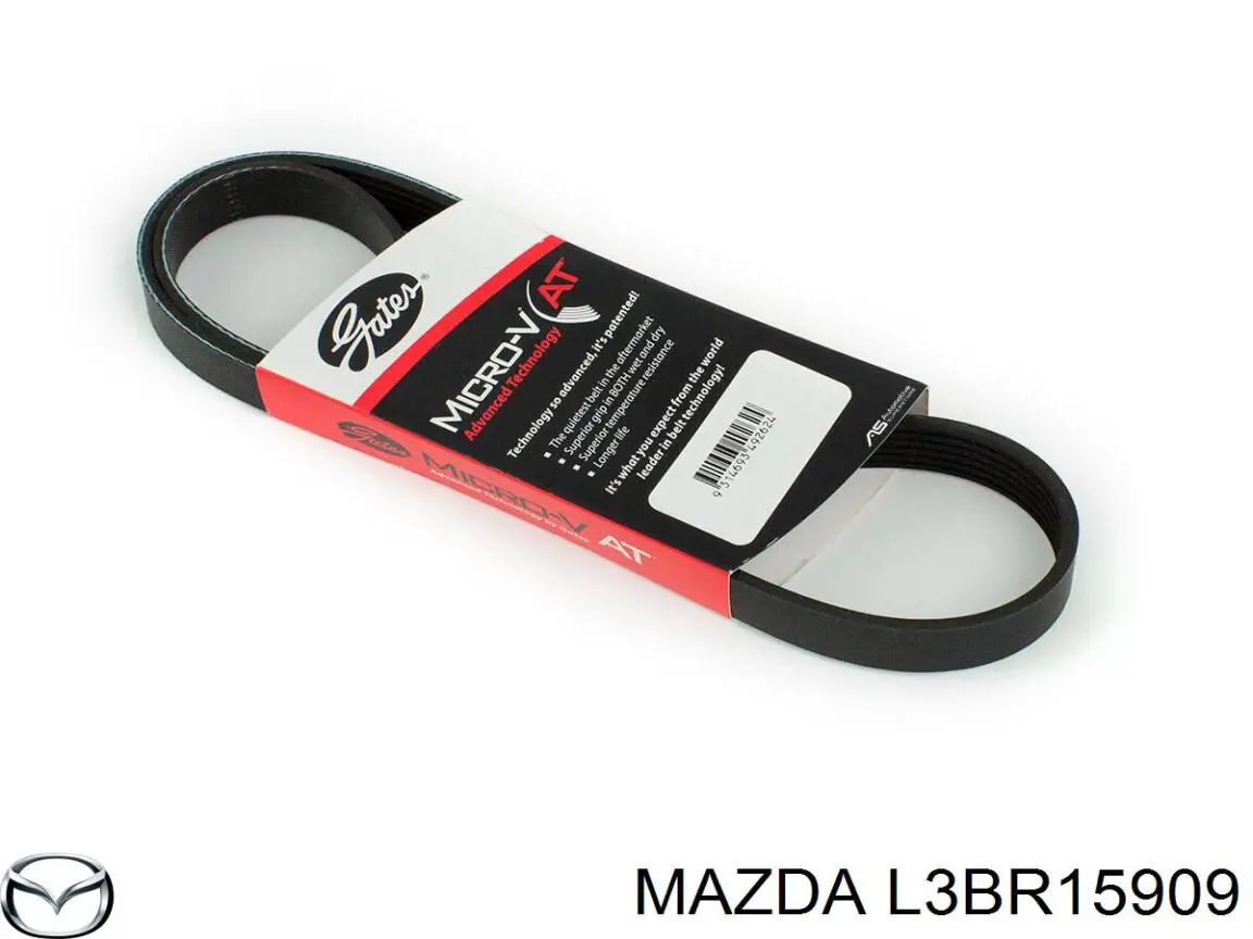 Correa de alternador L3BR15909 Mazda