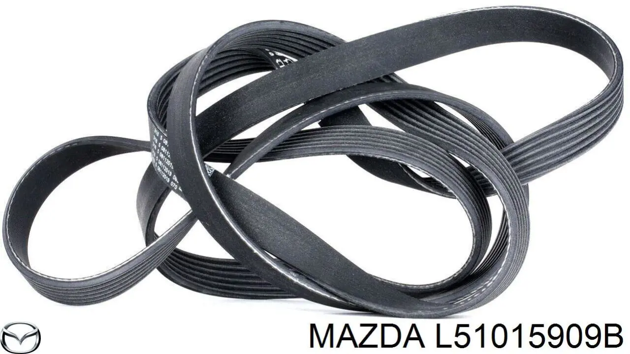 Correa de transmisión trapezoidal Mazda L51015909B precio, desde 29,45 EUR