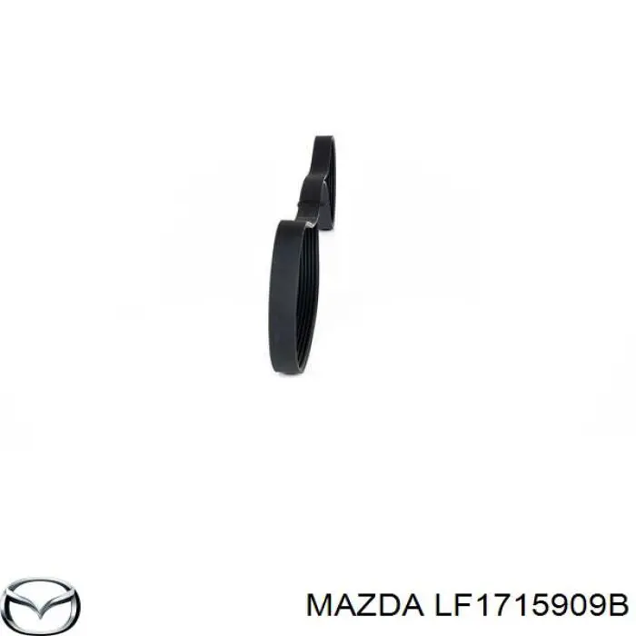 LF1715909B Mazda correa trapezoidal