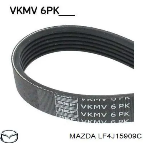 Correa de transmisión trapezoidal Mazda LF4J15909C precio, desde 18,70 EUR