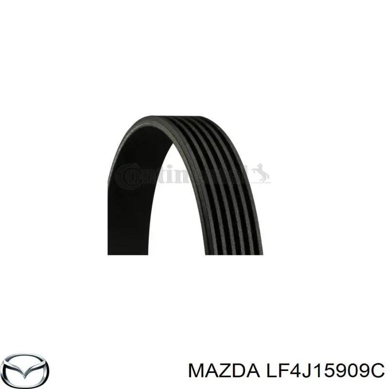 Comprar LF4J15909C Mazda Correa trapezoidal