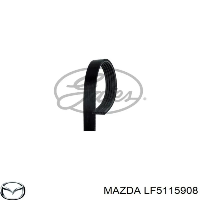 Comprar LF5115908 Mazda Correa trapezoidal