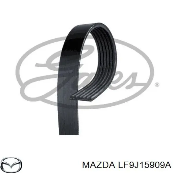 LF9J15909A Mazda correa trapezoidal