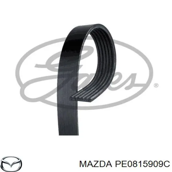 Correa de transmisión trapezoidal Mazda PE0815909C precio, desde 9,94 EUR