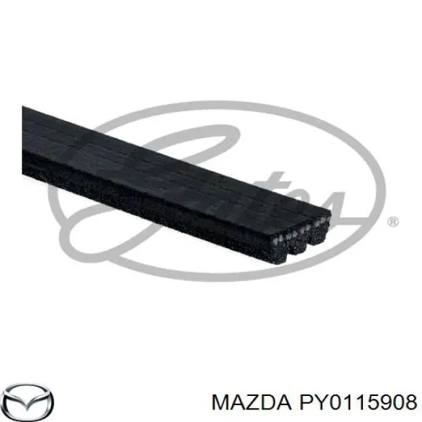 PY0115908 Mazda Correa poly v