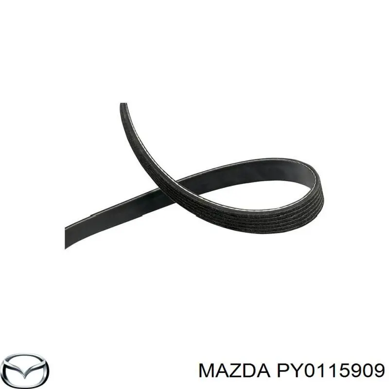 PY0115909 Mazda Correa poly v