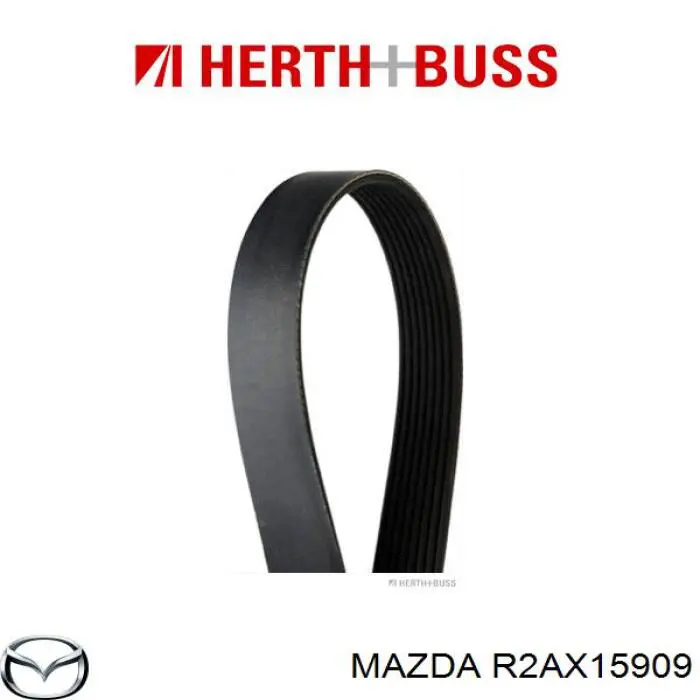 Correa de transmisión trapezoidal Mazda R2AX15909 precio, desde 26,83 EUR