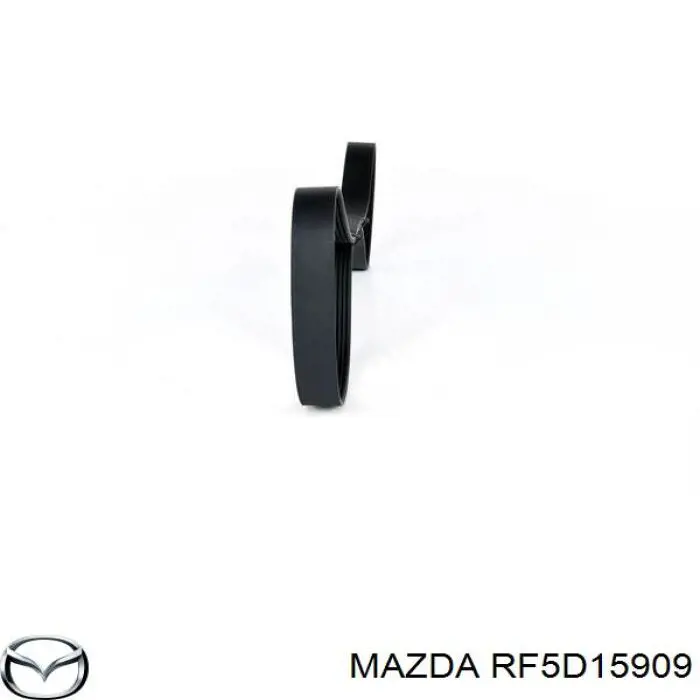 RF5D15909 Mazda correa trapezoidal