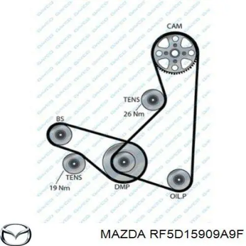 RF5D15909A9F Mazda correa trapezoidal