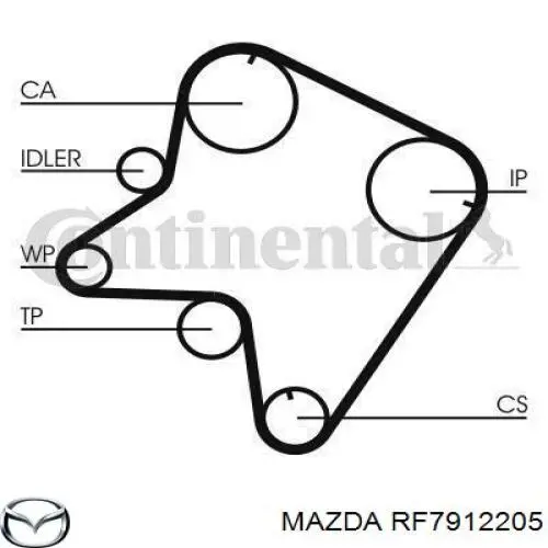 RF7912205 Mazda correa distribucion