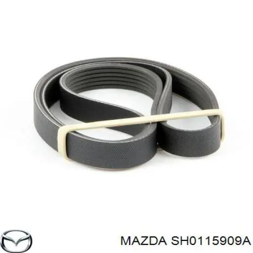 SH0115909A Mazda correa trapezoidal