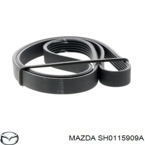 Comprar SH0115909A Mazda Correa trapezoidal
