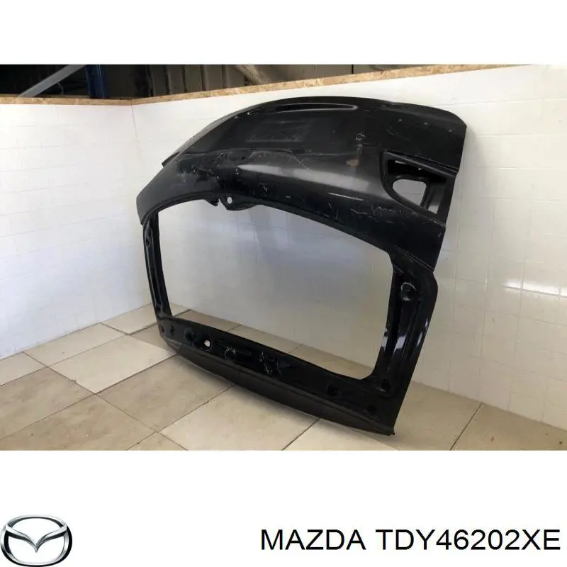 Puerta Trasera de maletero (3/5a Puerta Trasera) para Mazda CX-9 (TB)