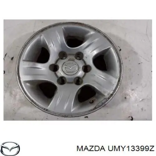 4112105N00 Nissan/Infiniti Émbolo de la pinza de freno delantera
