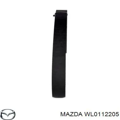 WL0112205 Mazda correa distribucion