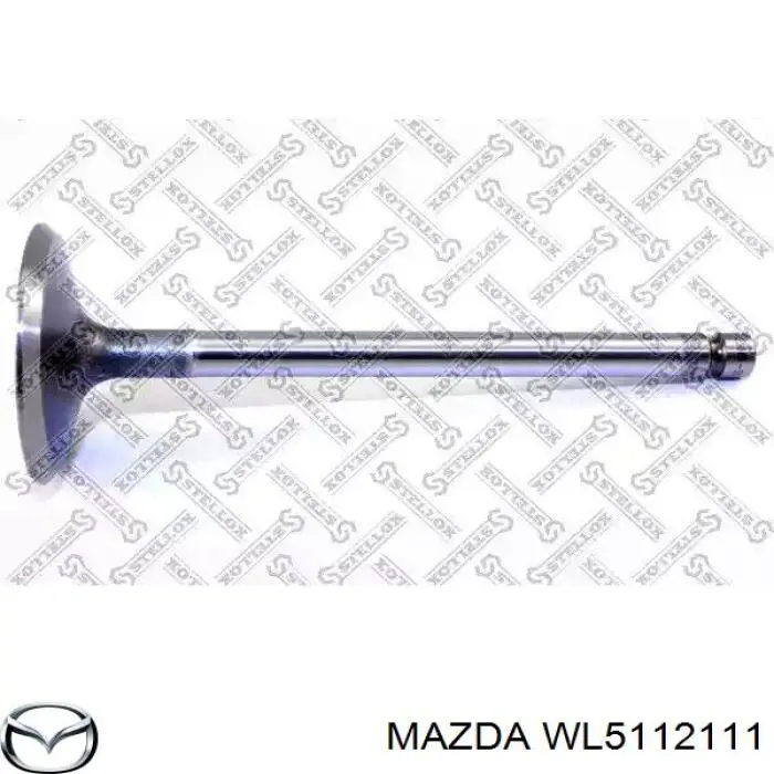 Válvulas de admisión IV95104 FAI
