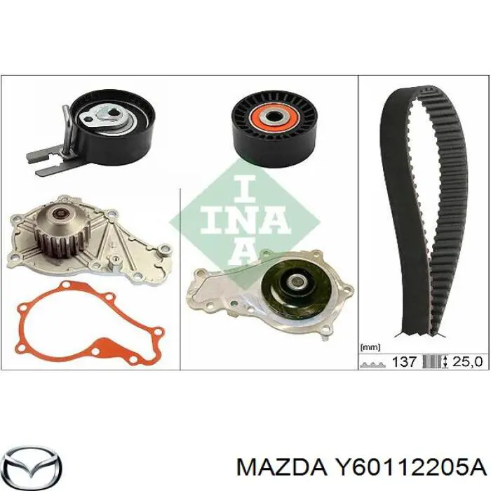 Correa distribucion Ford Fiesta JH, JD