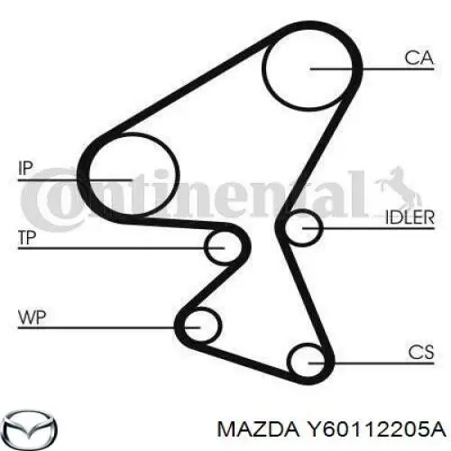 Correa distribucion Ford Fiesta JH, JD